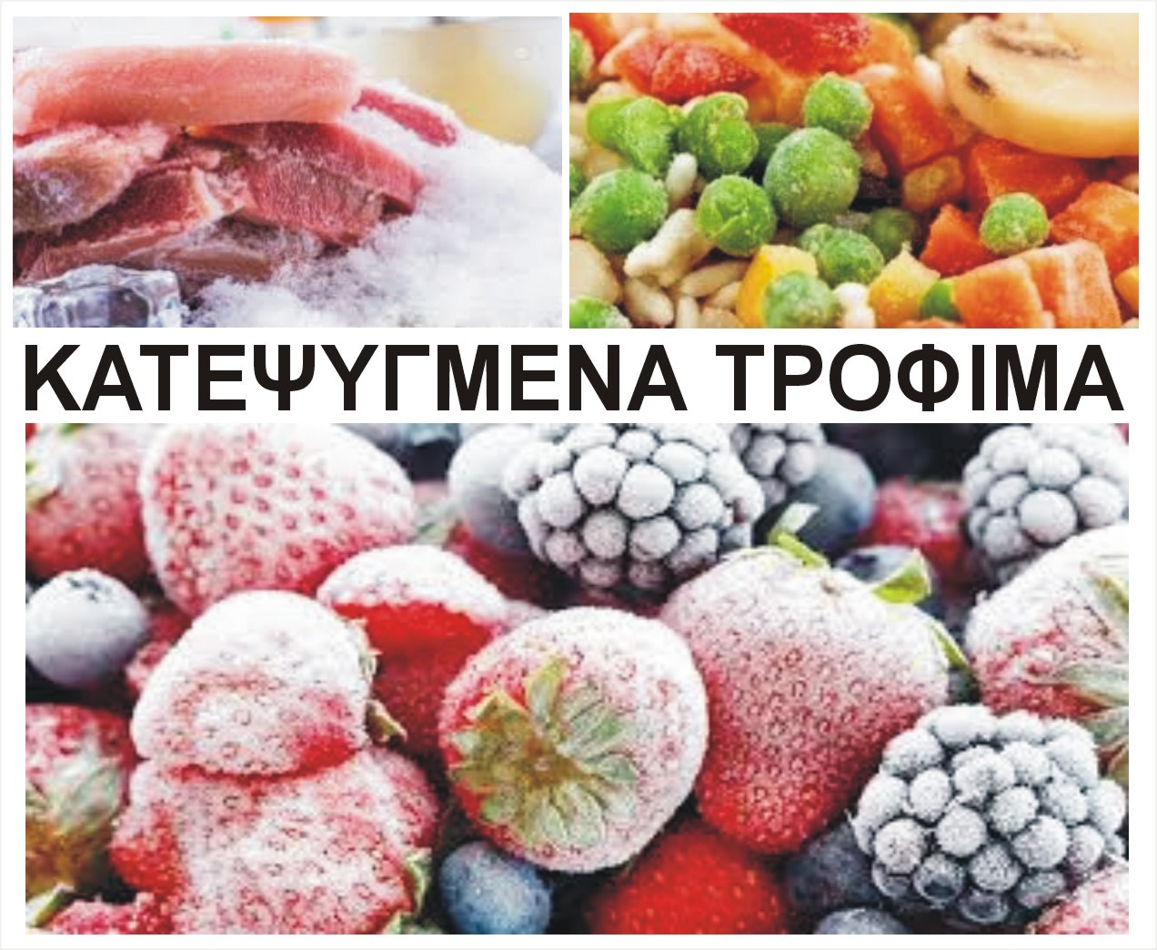 ΚΑΤΕΨΥΓΜΕΝΑ ΠΡΟΪΟΝΤΑ ΤΡΟΦΙΜΩΝ