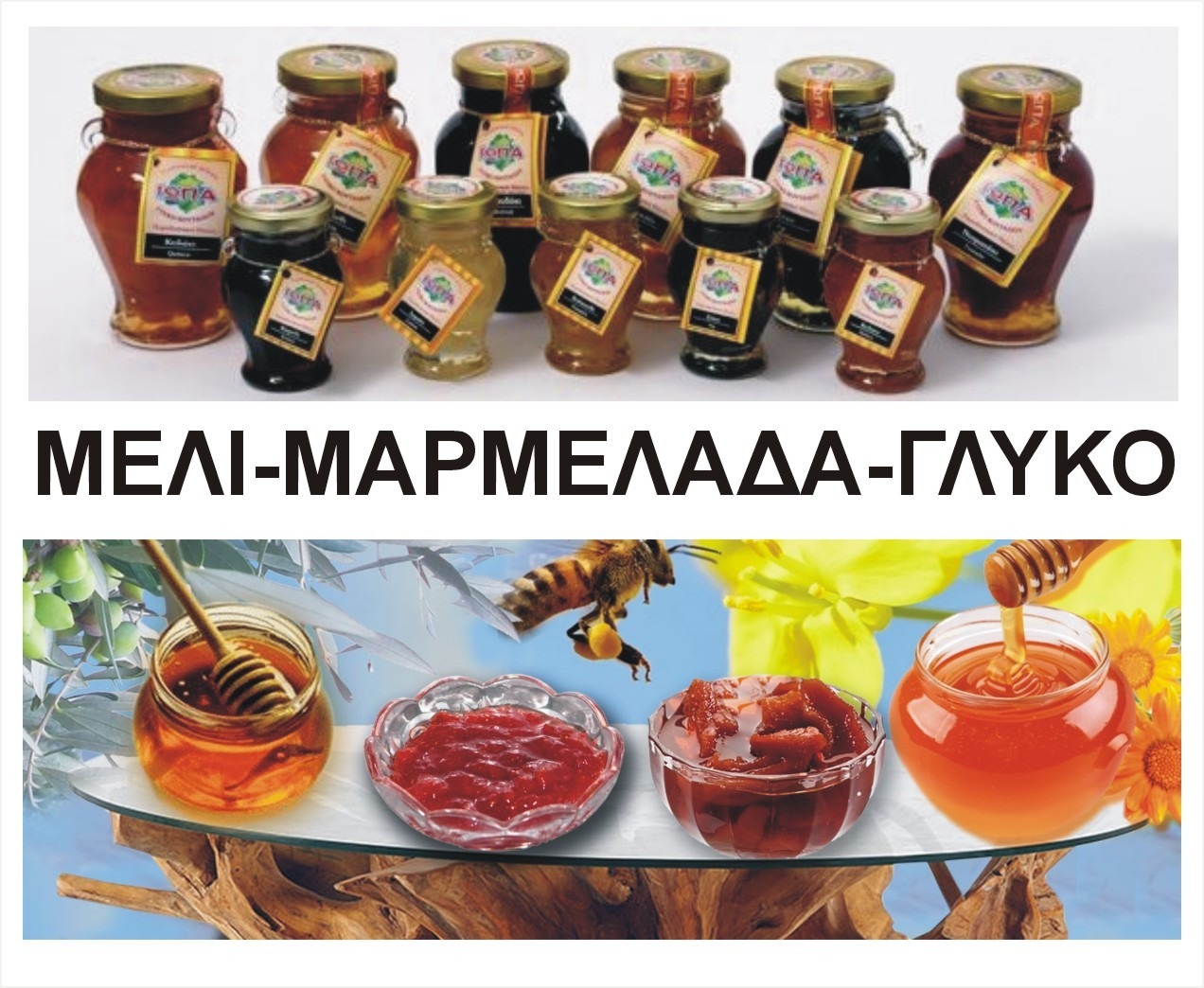 ΜΕΛΙ ΜΑΡΜΕΛΑΔΑ ΓΛΥΚΑ ΚΟΥΤΑΛΙΟΥ