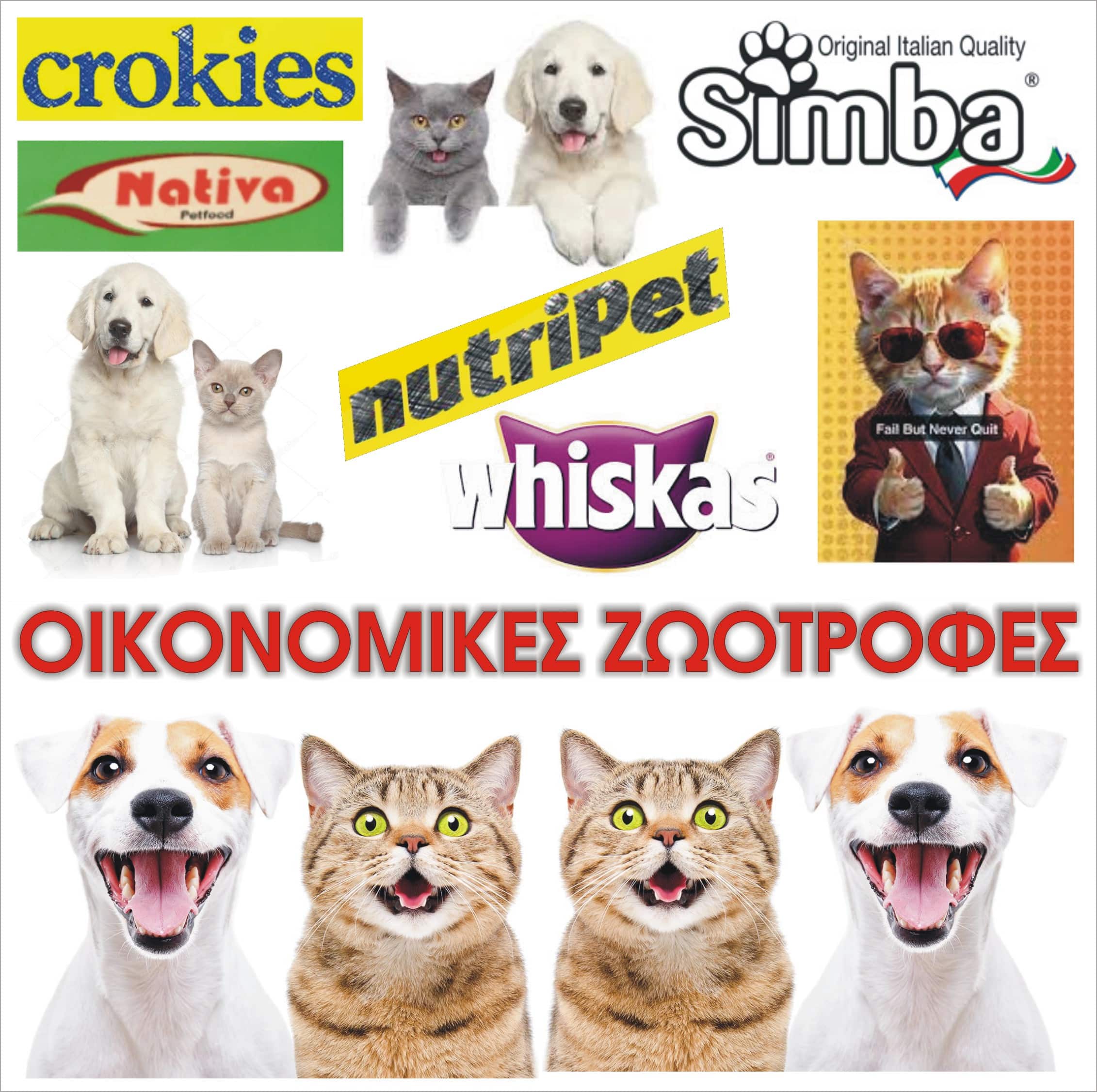 ΖΩΟΤΡΟΦΕΣ ΟΙΚΟΝΟΜΙΚΕΣ (ΓΑΤΑΣΚΥΛΟΥ)